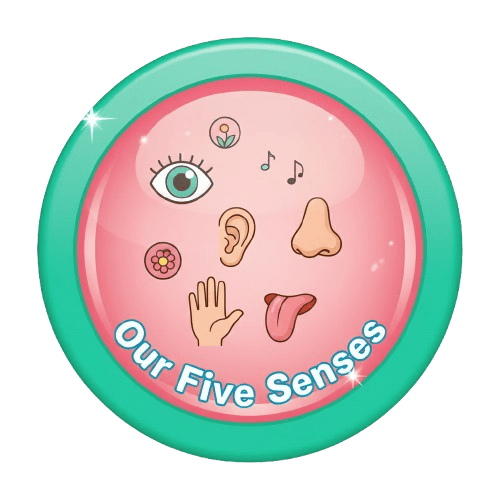 our five sense