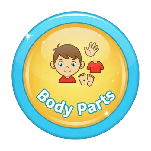 Body Parts